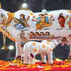 Kaamdhenu Cow