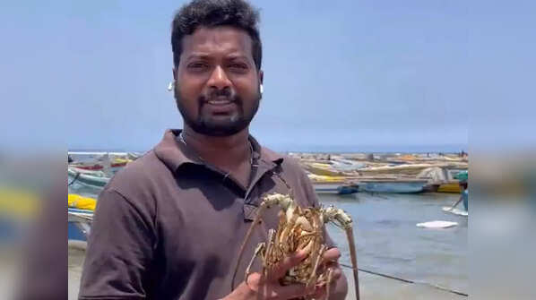 Face transitioning from your seafood stall to the high-pressure environment of MasterChef India Telugu, and how did you adapt?