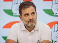 Article image for: <i class="tbold">rahul gandhi</i>