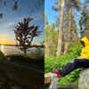 Immersed in Natural Beauty