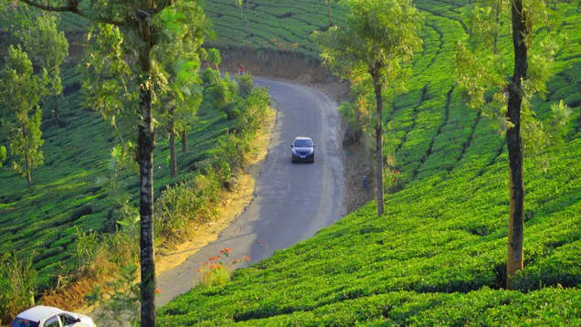 Top 9 monsoon road trips in India from coffee plantations to hill ...