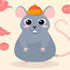 Rat