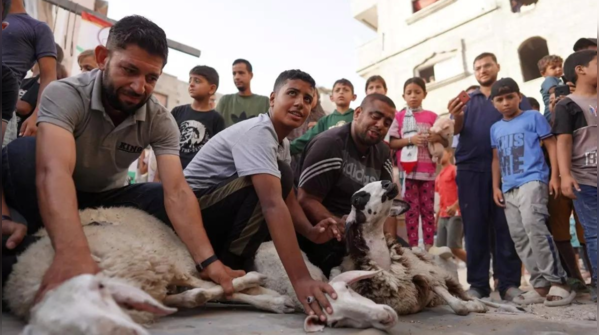 Amid hardship, Gazans uphold traditions with sacrifice