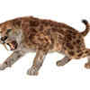 Article image for: <i class="tbold">sabre</i>-toothed tigers