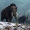 Mammoths