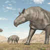 Paraceratherium