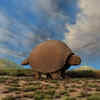Glyptodon