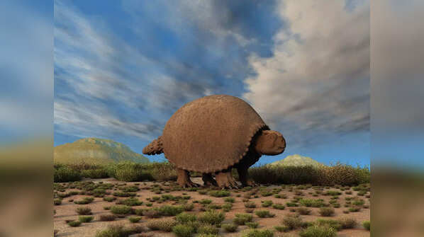 Glyptodon