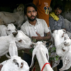 Markets buzzed with Eid festivities