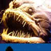 Article image for: <i class="tbold">deep sea</i>