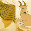 Article image for: Virgo and Capricorn: Practical Unity