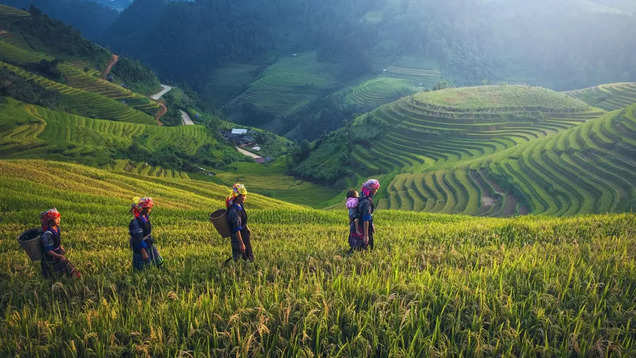 Indonesia: Exploring the immersive and hyper-local experiences in Bali