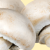 ​​Mushroom​