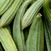 Article image for: <i class="tbold">ridge gourd</i> (Turai)