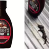 Dead mouse in Hershey’s chocolate syrup