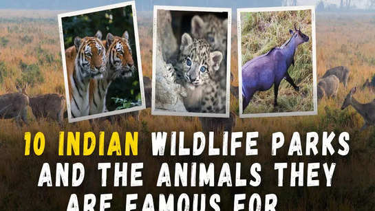 10 Indian wildlife parks and the animals they are famous for