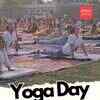 Article image for: Actor MP <i class="tbold">Hema Malini</i> performs Yoga Asanas in Mathura on International Yoga Day