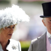 Charles' horse desert hero wins against the odds at Royal Ascot