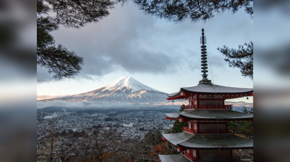 Oubaitori: A unique journey