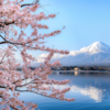 ​Gaman: Cultivating patience and endurance