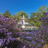 Shikata Ga Nai: Accept what cannot be changed