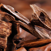 Agarwood