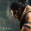 Makers request fans and audience to avoid piracy and spoilers!