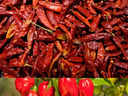 10 types of chillies enjoyed across India