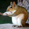 “Caught in the Act” by Mary McGowan