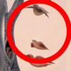 The face of a woman