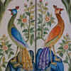 ​Peacock paintings