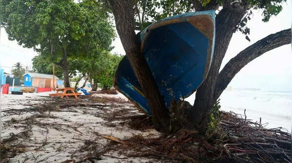 Devastation caused by the cyclone
