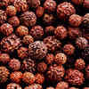 ​Four-Faced Rudraksha (Char Mukhi):​