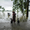​​Flood alert in Manipur​