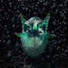 ​Fungus Owl by Chatree Lertsintanakorn