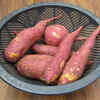 ​Sweet Potato​