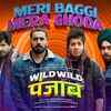 Article image for: <i class="tbold">wild wild punjab</i> | Song - Meri Baggi Mera Ghoda