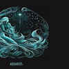 Aquarius: Fear of Conformity