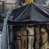 Police take shelter from downpour