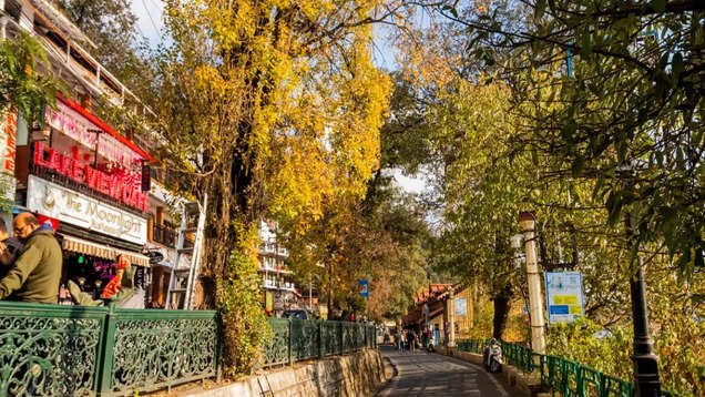 Discover the magic of Nainital with these 6 must-do things