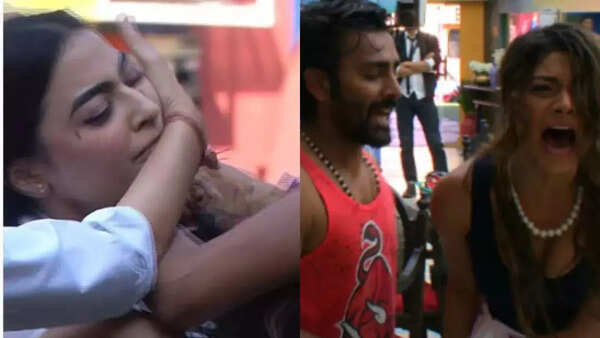 Bani J