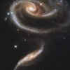 A 'rose' made of galaxies