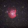 Monkey Head Nebula