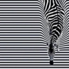 Are optical illusions harmful to our eyes?