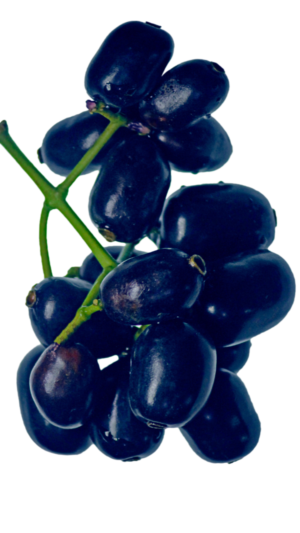 Jamun
