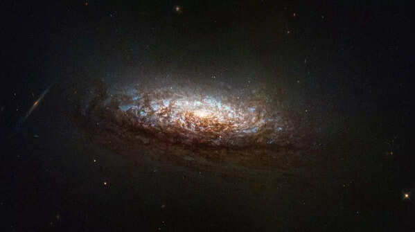 Dorado constellation