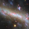 Lights of a galactic bar