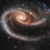 'Rose' of Galaxies