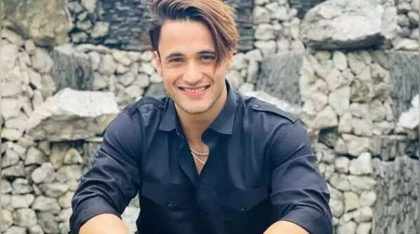 Asim Riaz's rise to stardom through Bigg Boss 13