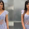 Shweta follows a diet plan